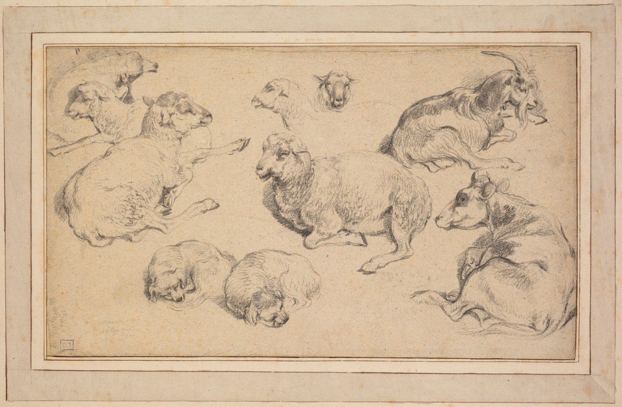 Blad met studies van schapen, geiten en honden door Jean Baptiste Marie Huet