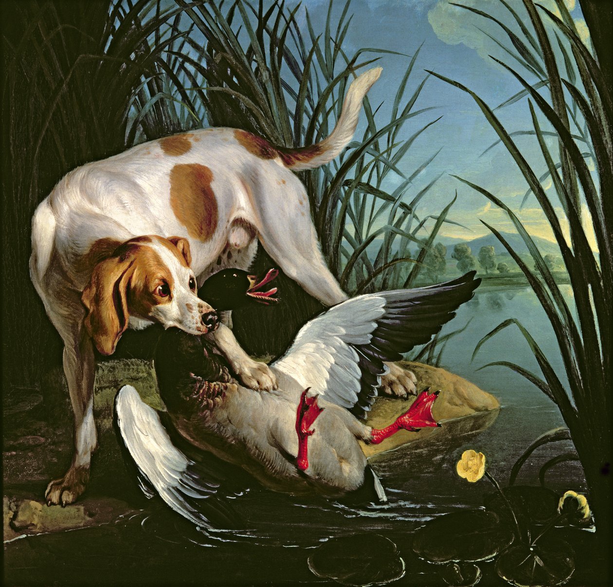 Hond met een wilde eend door Jean Baptiste Oudry