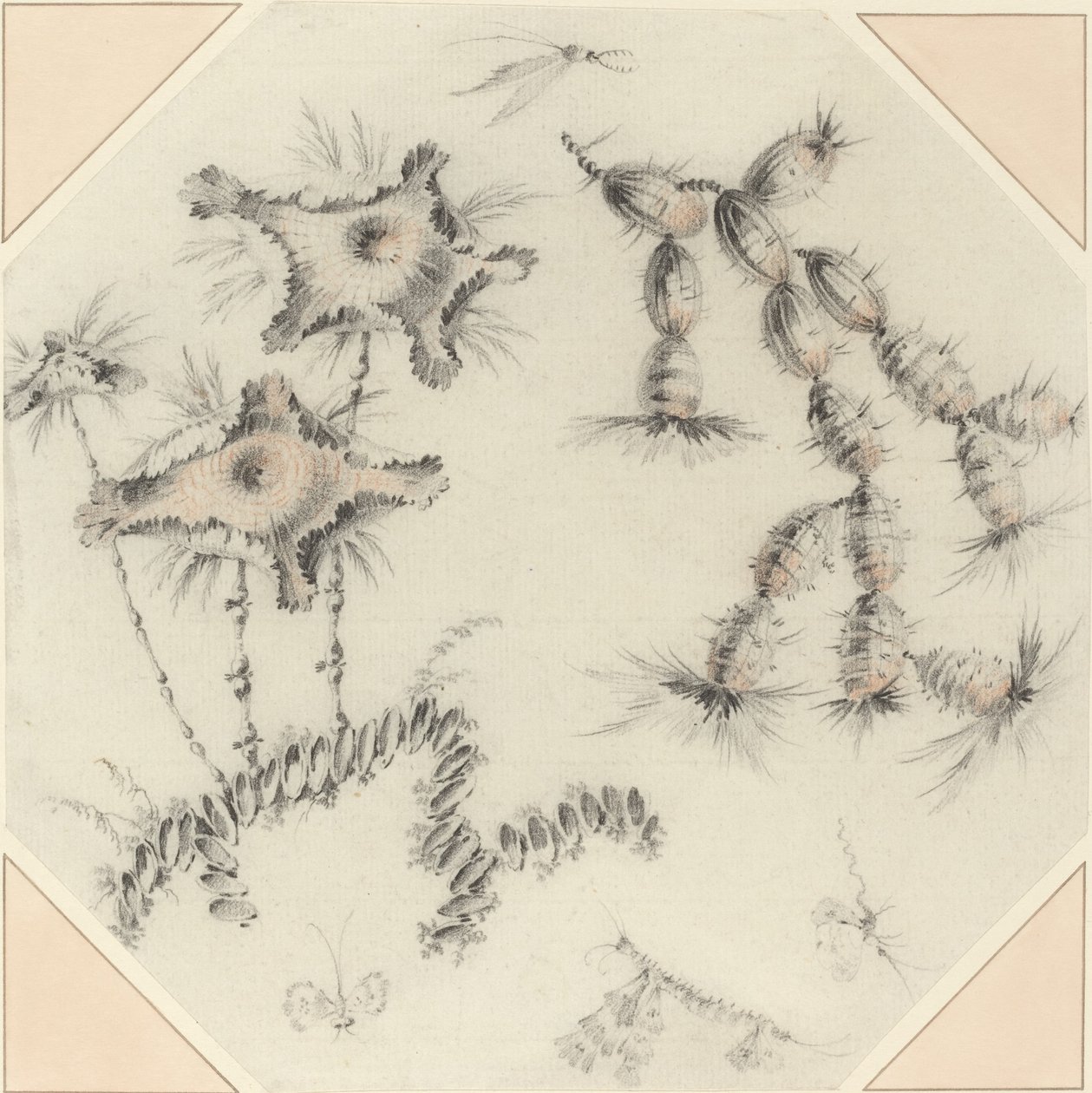 Bamboebloemen en Cactus door Jean Baptiste Pillement
