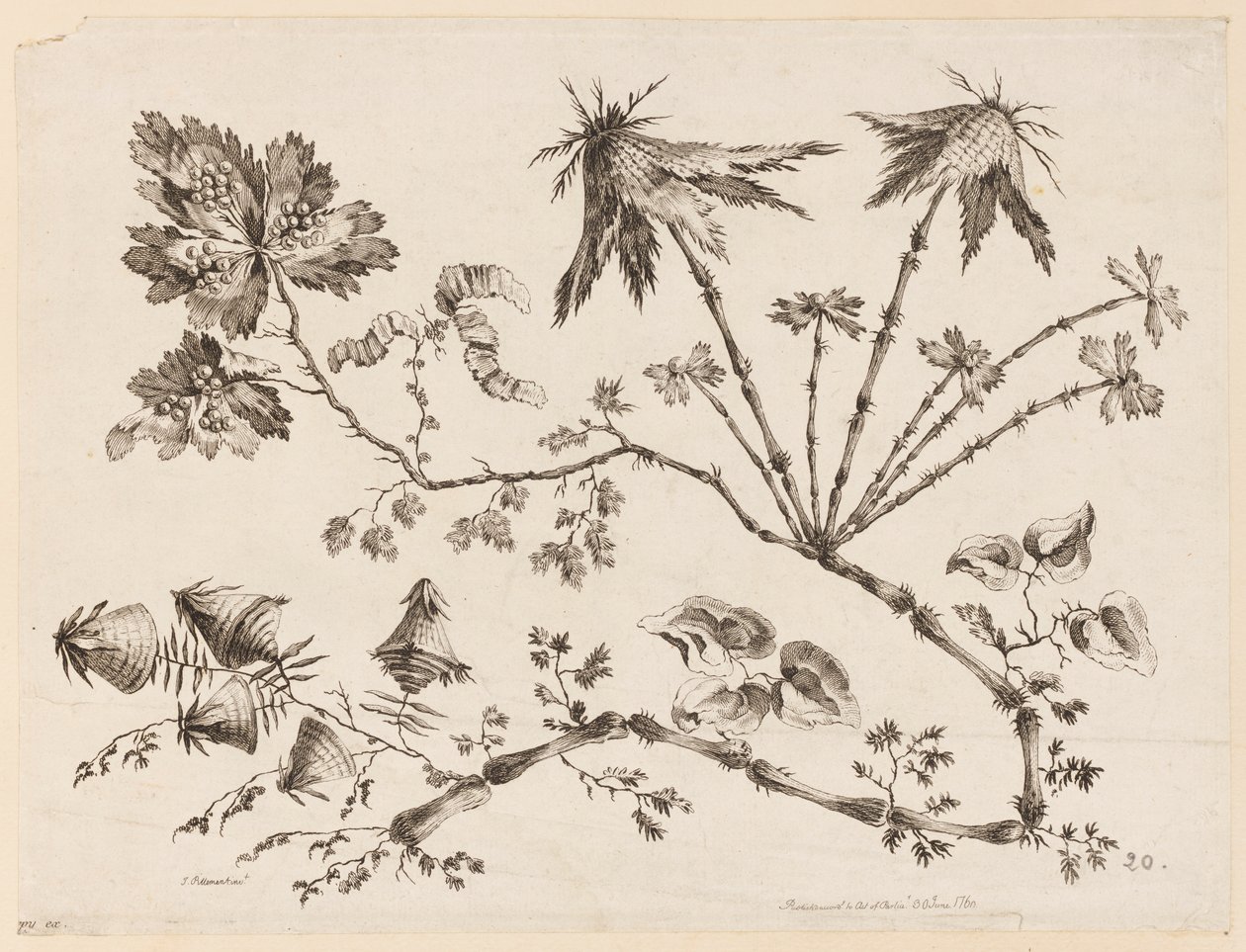 Bloementakken, uit "Recueil de Differentes Fleurs de Fantaisie Dans le Goût Chinois" door Jean Baptiste Pillement