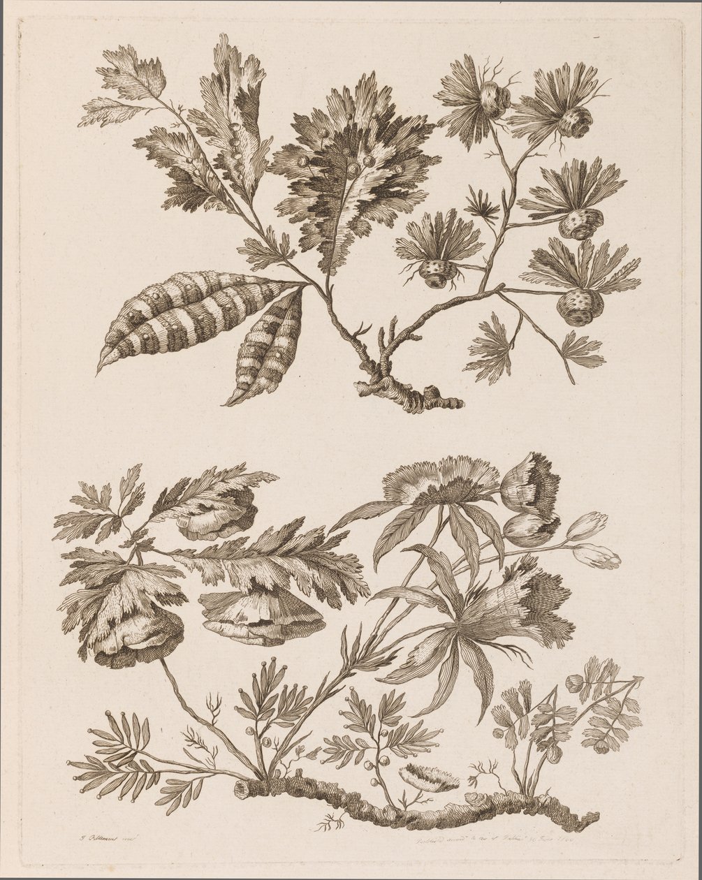 Bloementakken, uit "Verzameling van Verschillende Fantasiebloemen in Chinese Stijl" door Jean Baptiste Pillement