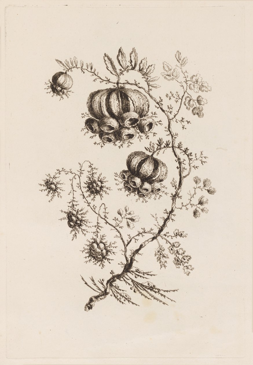 Bloementak, uit "Fleures Persannes" door Jean Baptiste Pillement
