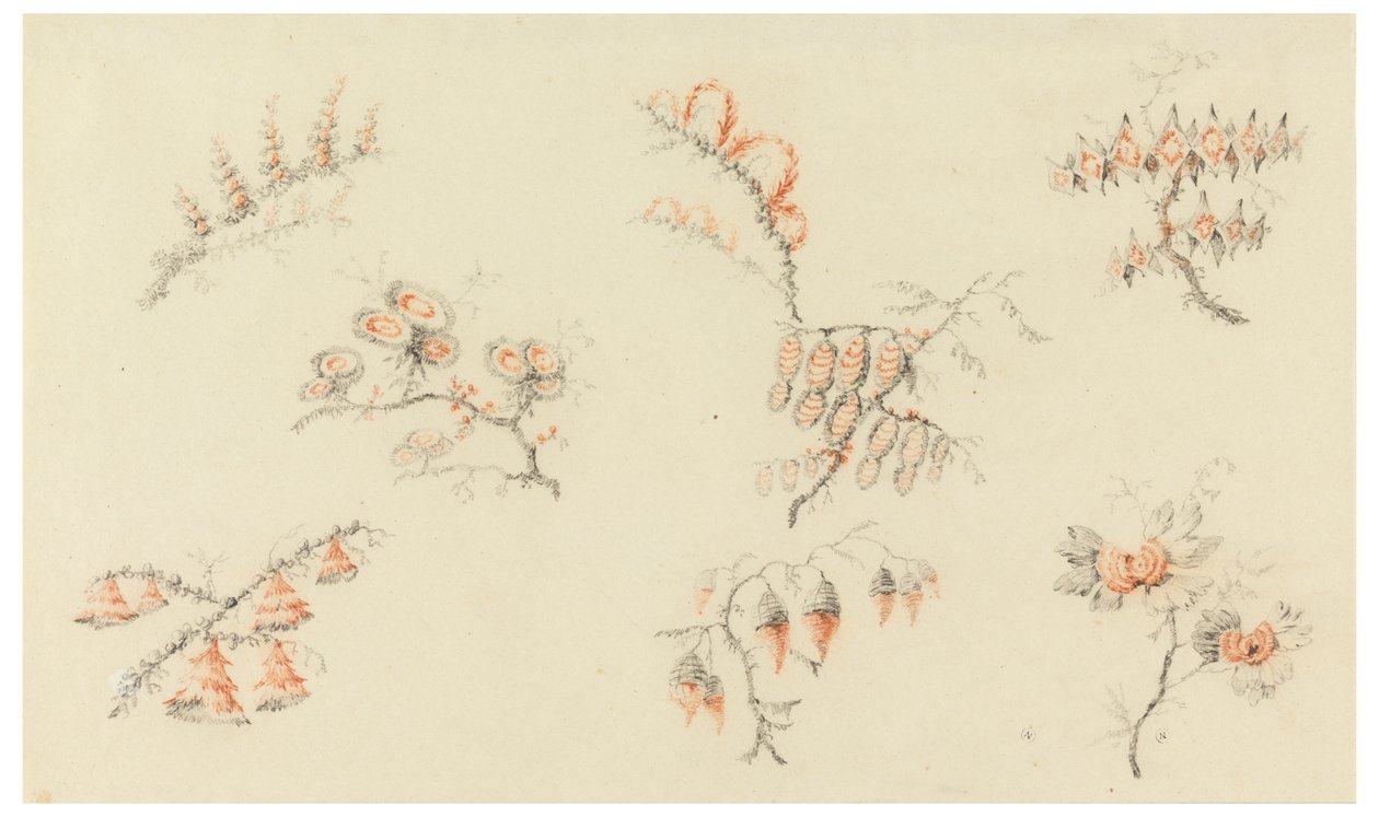 Takken van Zeven Ideale Bloemen en een Quasi-Naturalistische Bloem door Jean Baptiste Pillement