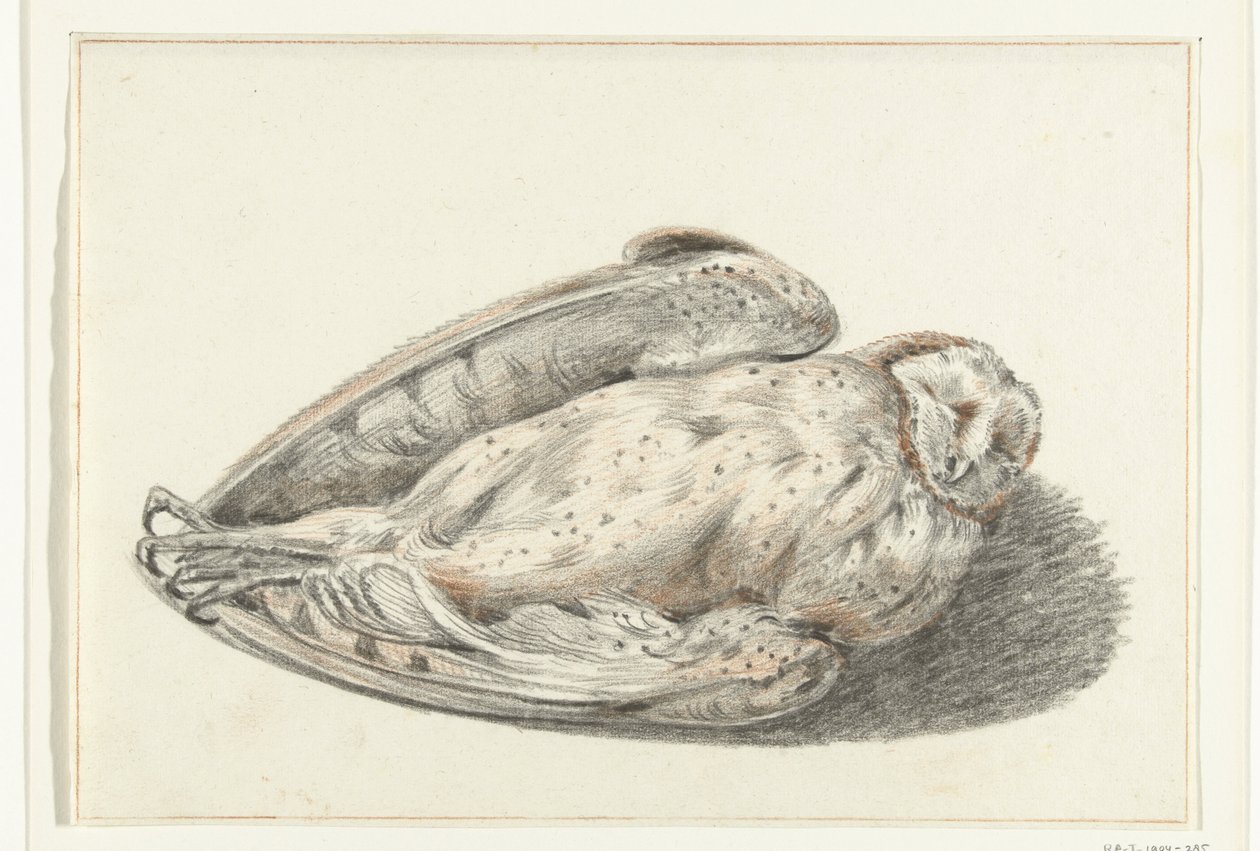 Dode uil door Jean Bernard