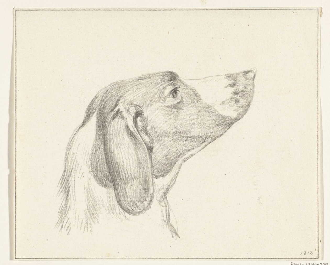 Kop van een hond, naar rechts door Jean Bernard