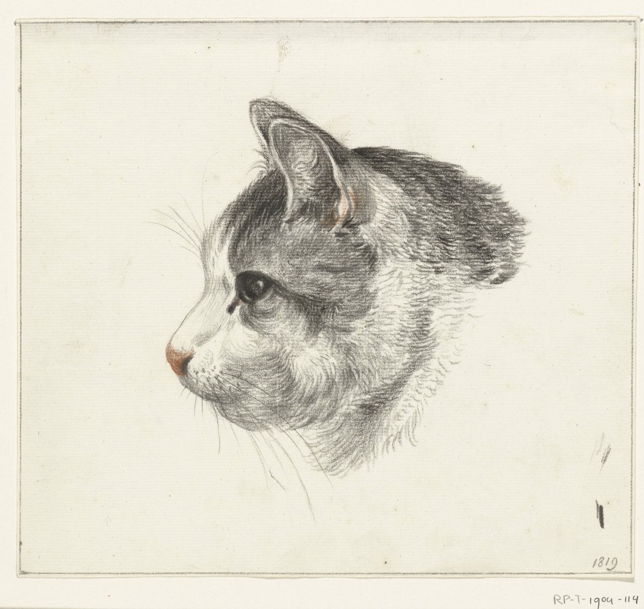 Kop van een kat, naar links door Jean Bernard