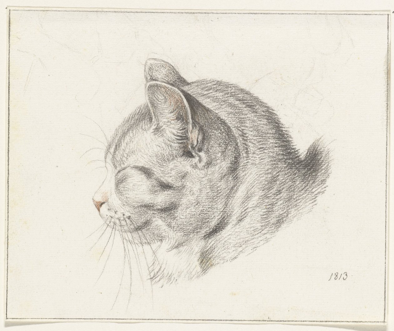 Kop van een kat, naar links door Jean Bernard