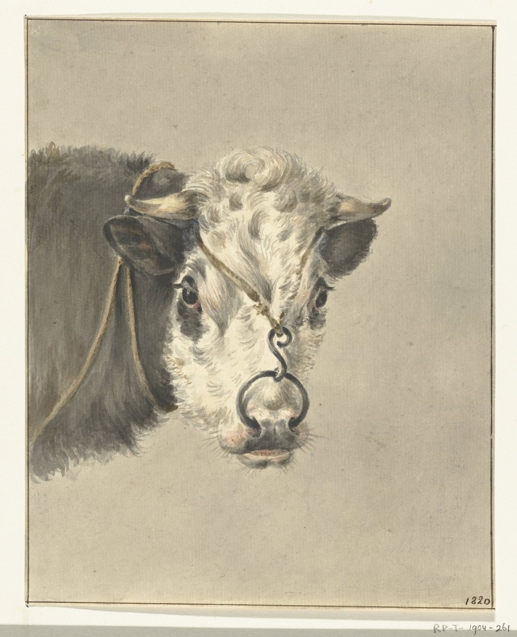 Kop van een koe, met een ring door de neus, van voren door Jean Bernard
