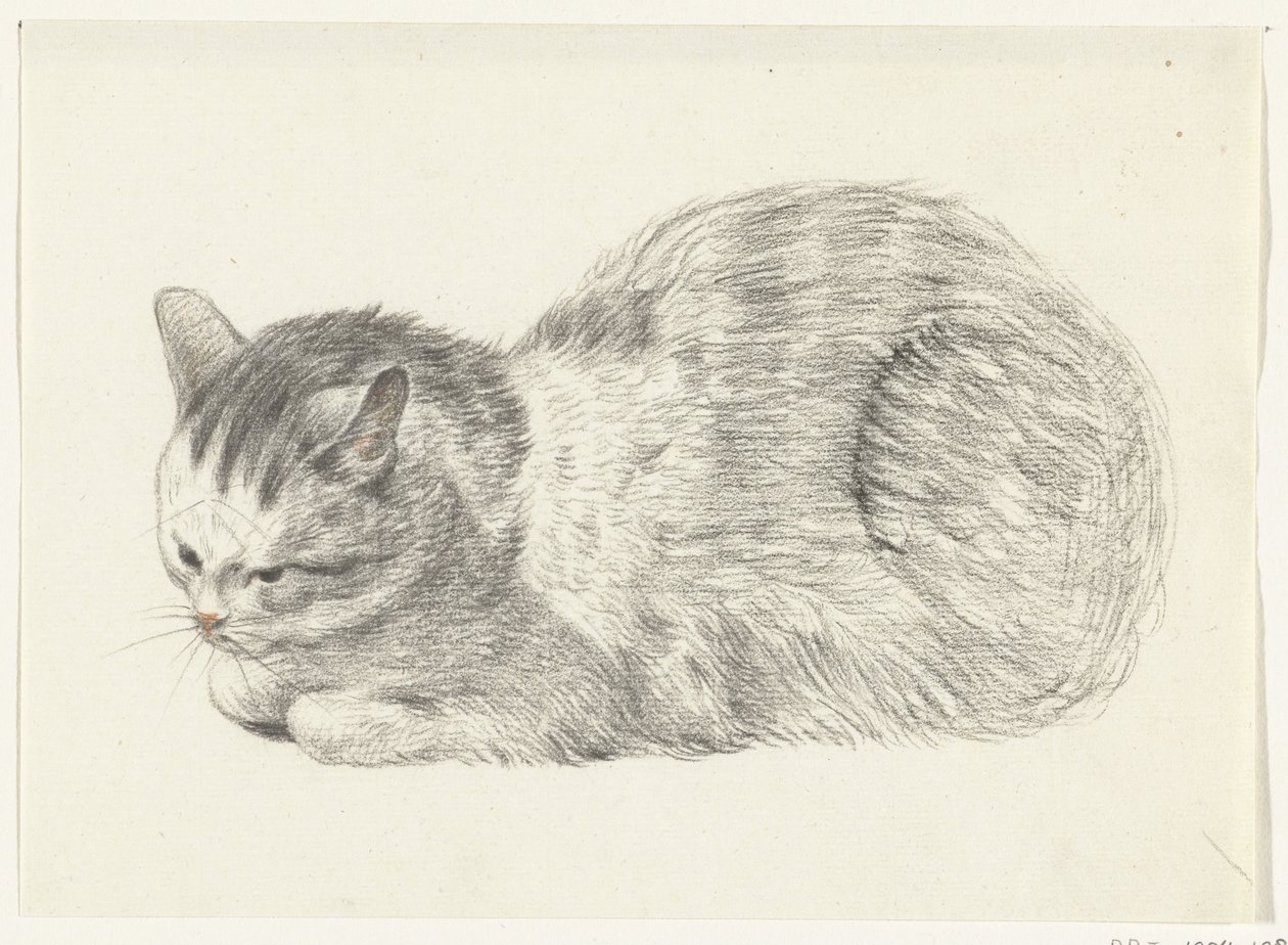 Liggende kat, naar links door Jean Bernard