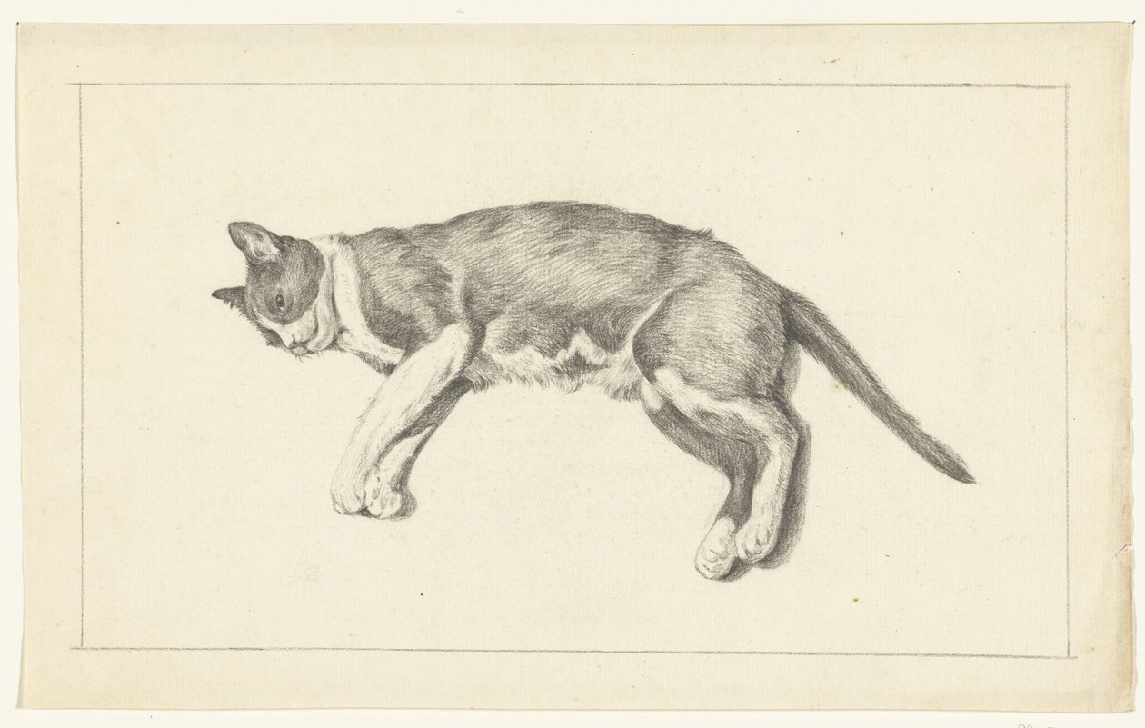 Liggende kat, naar links, van boven gezien door Jean Bernard