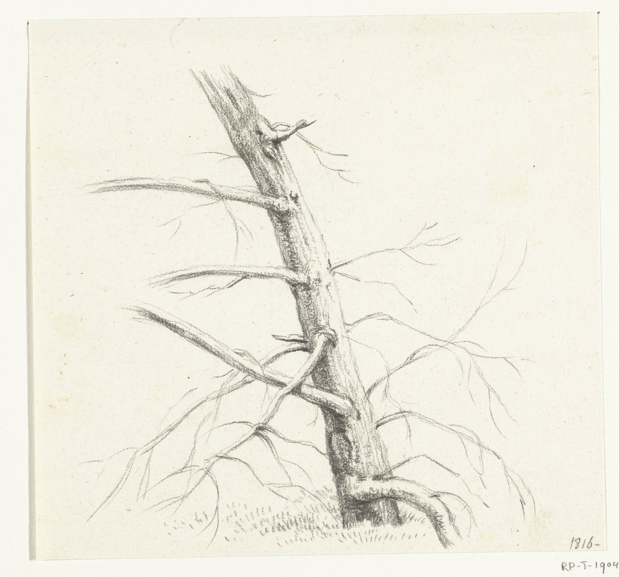 Studie van een boom door Jean Bernard