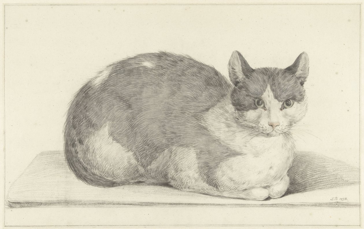 Zittende kat, naar rechts door Jean Bernard