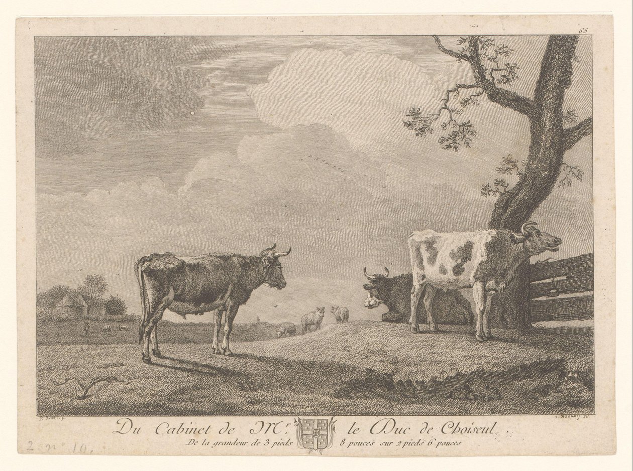 Drie koeien in een wei door Jean Charles Baquoy