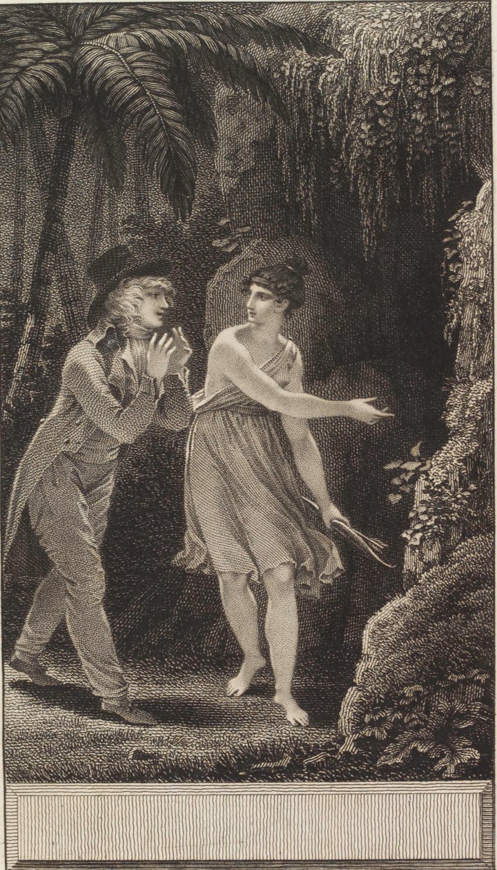 De Indiase stam: of, Edward en Stellina door Jean Godefroy