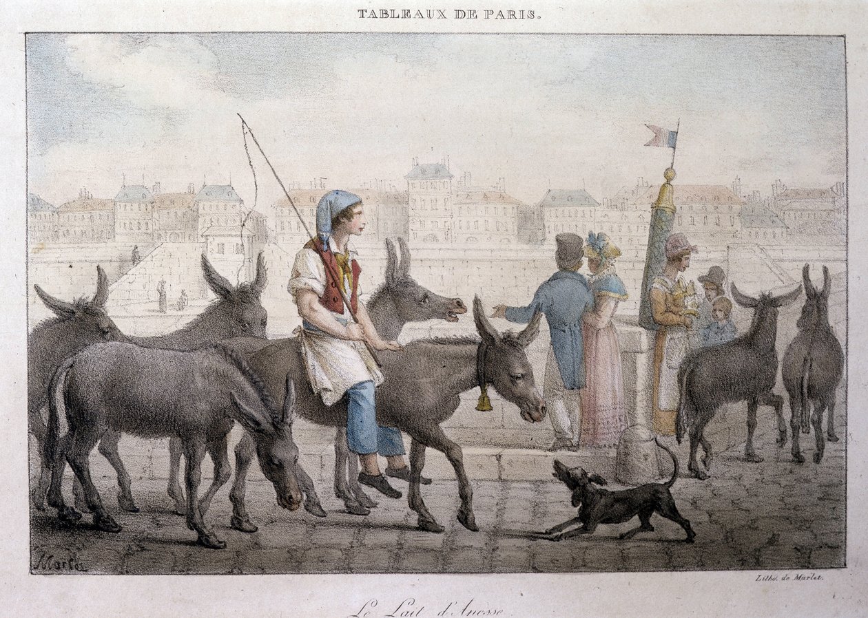 Oude straatberoep in Parijs: ezelmelkverkoper (Ezel in Parijs) - Gravure door Jean Henry Marlet (1771-1847) in 