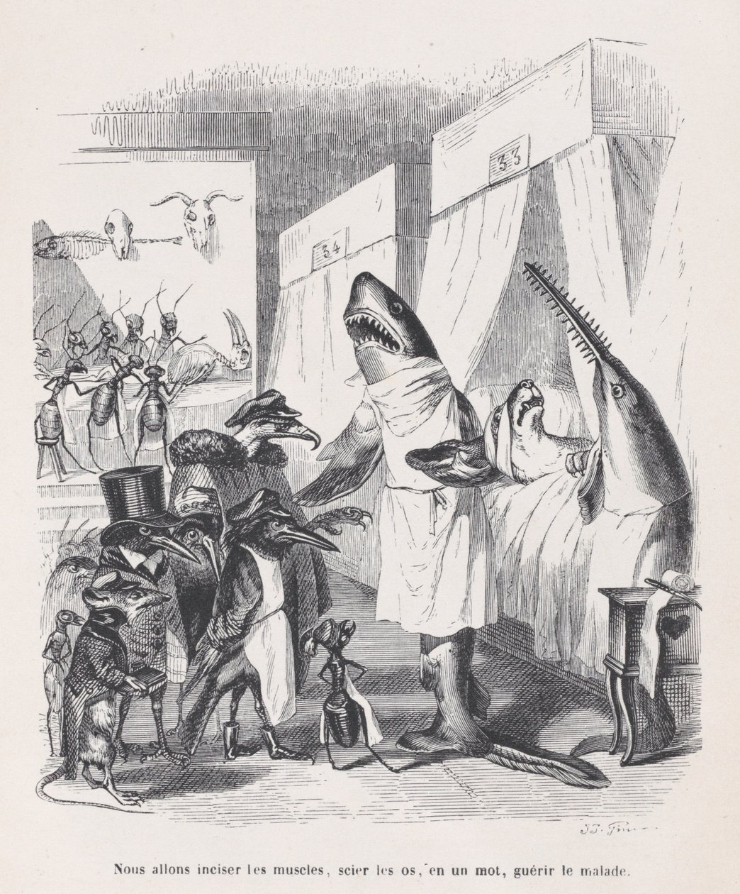 We gaan de spieren insnijden, de botten zagen, kortom, de zieken genezen uit Sc..., ca. 1837-47 door Jean Ignace Isidore Gérard