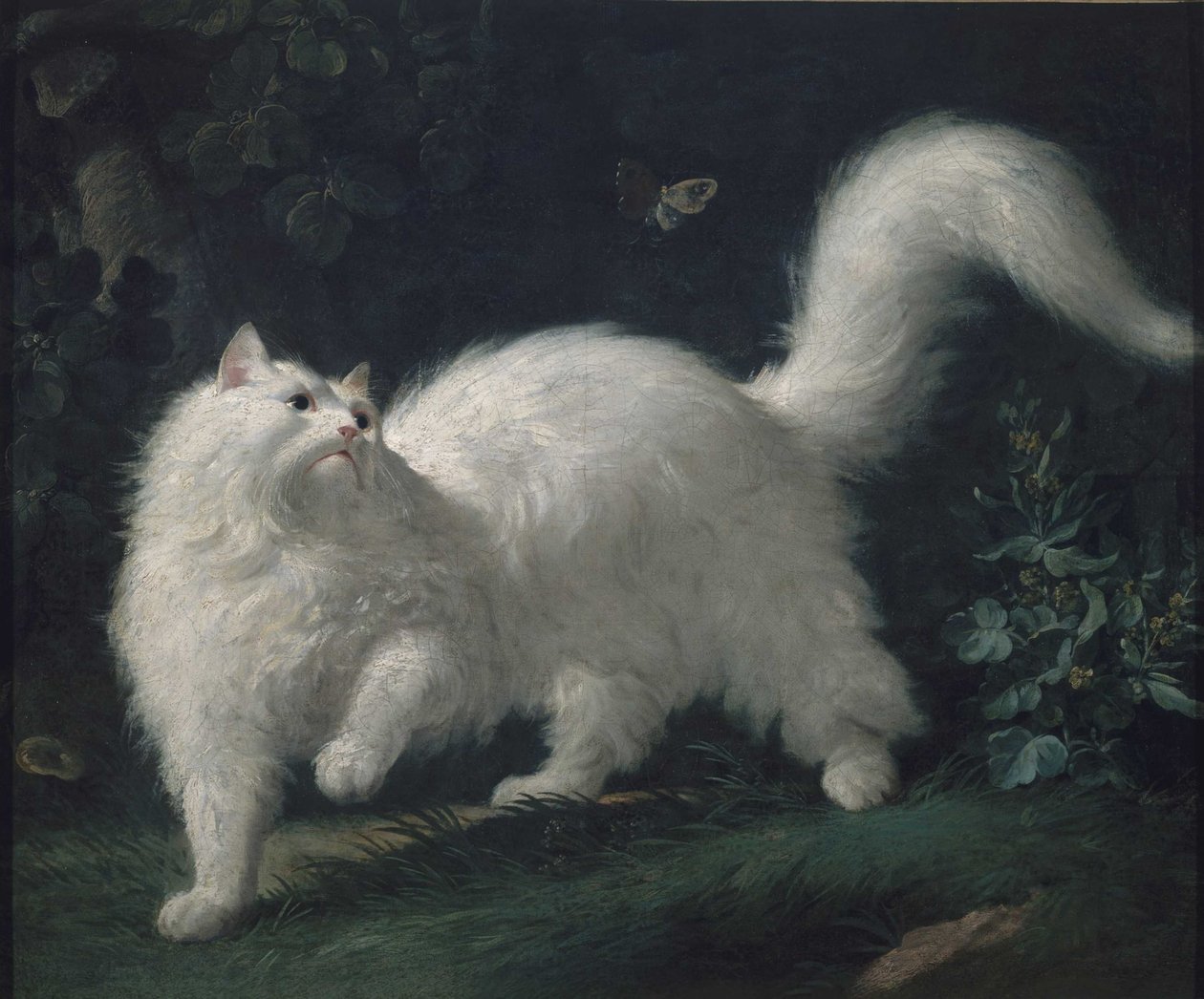 Angora kat die een vlinder achtervolgt, c. 1760 door Jean Jacques Bachelier