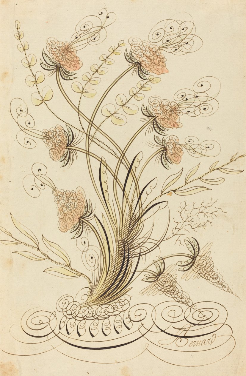 Calligrafische bloemen door Jean Joseph Bernard called Bernard de Paris