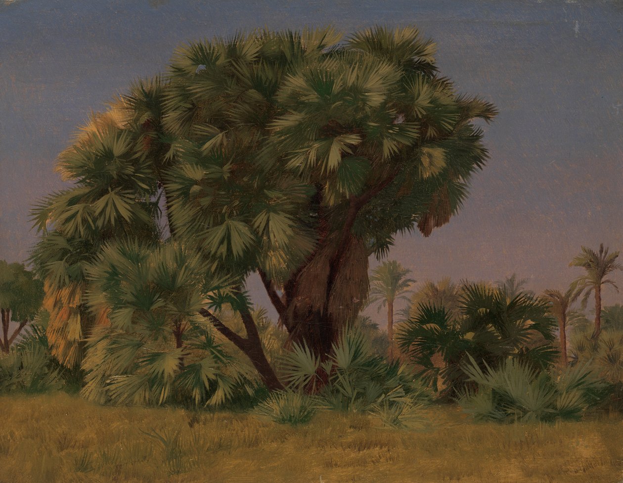 Studie van Palmbomen, waarschijnlijk 1868 door Jean Leon Gerome