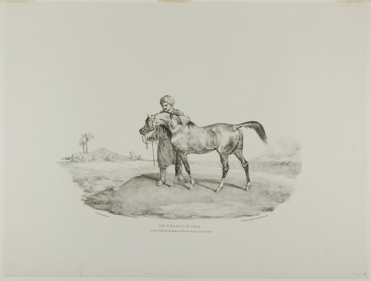 Een Arabisch paard, plaat 8 uit Diverse onderwerpen Getekend uit het leven en op steen (De Engelse Suite) door Jean Louis André Théodore Géricault