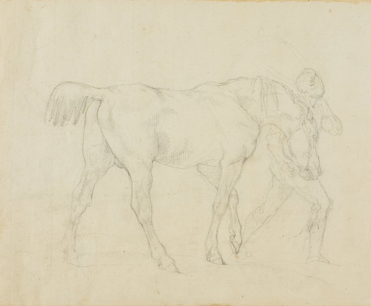 Bruidegom leidt een paard door Jean Louis André Théodore Géricault