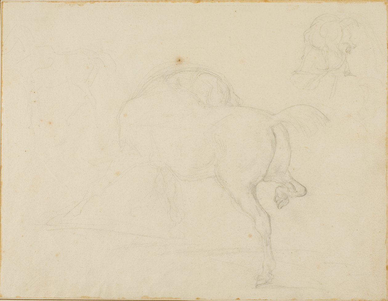 Studie van een paard dat zijn hoofd draait en zijn achterbeen optilt door Jean Louis André Théodore Géricault