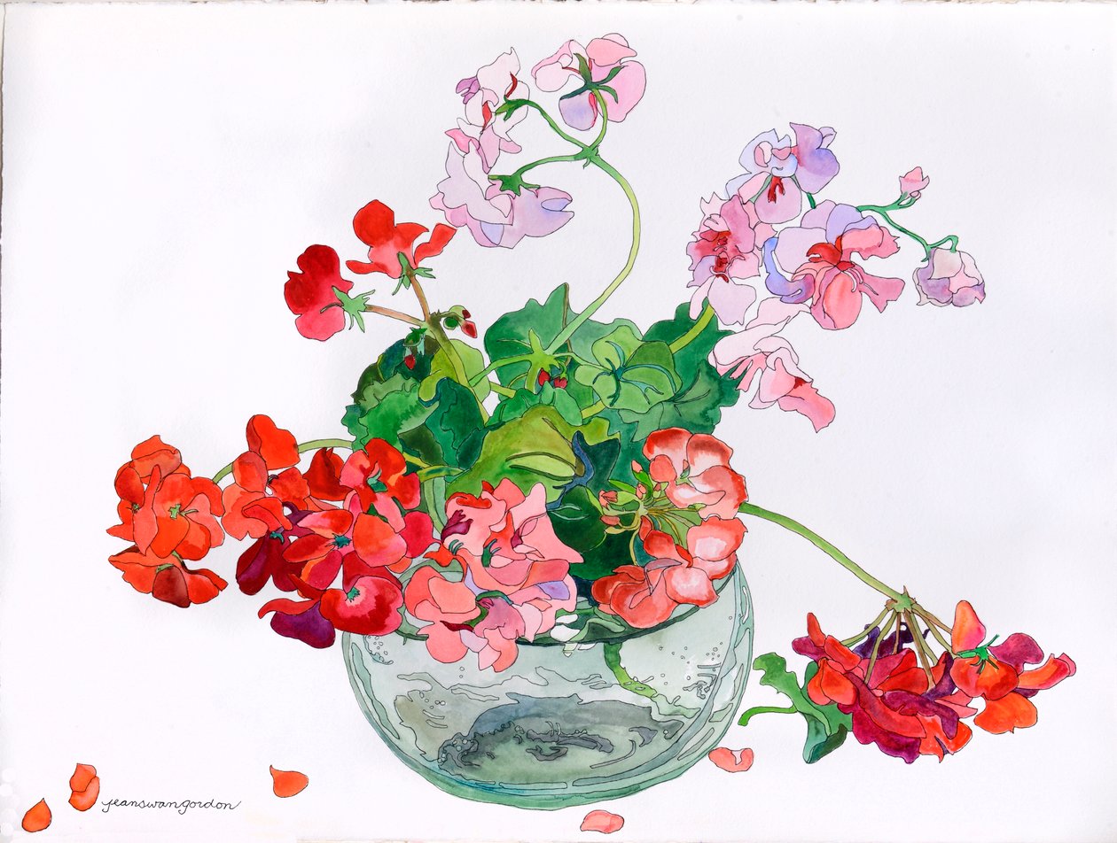Geraniums op hun gemak in glazen kom (aquarel en inkt op papier) door Jean Swan Gordon