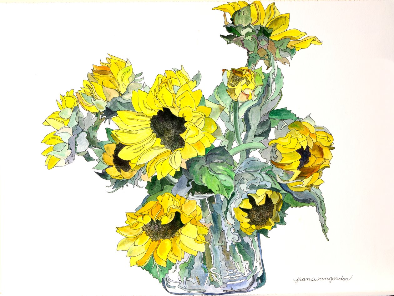 Zonnebloemen, 2002 (aquarel en inkt op papier) door Jean Swan Gordon