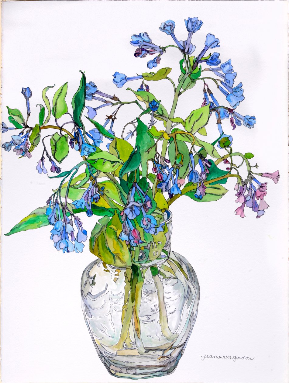 Virginia Blue Bells in Narrow Necked Vase, 2006 (aquarel en inkt op papier) door Jean Swan Gordon