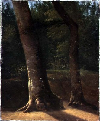 Studie van bomen, c.1815 door Jean Victor (attr. to) Bertin