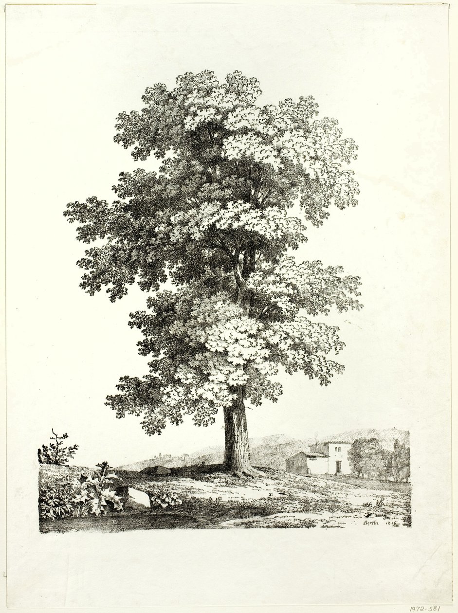Studie van een boom door Jean Victor Bertin