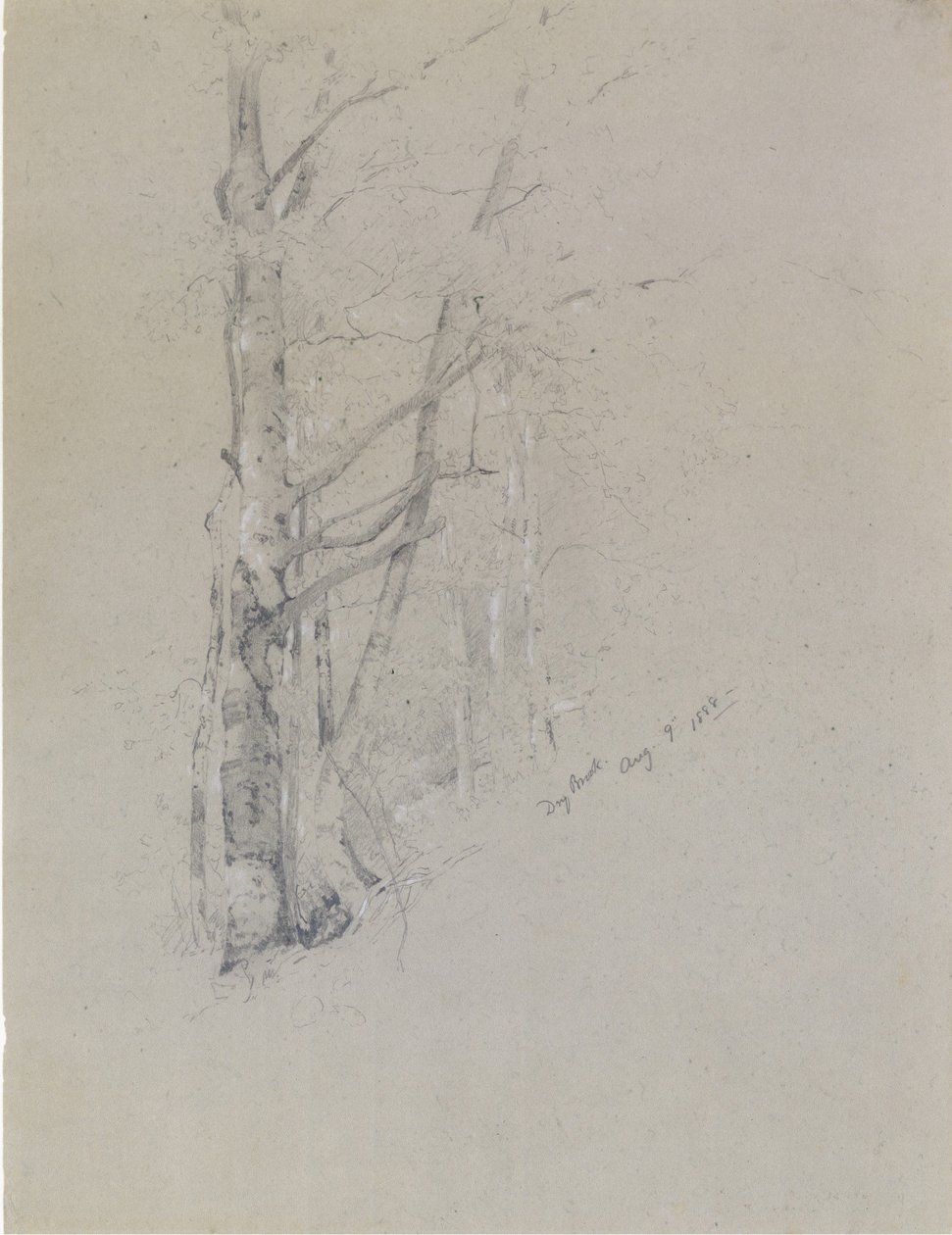 Droge beek door Jervis McEntee