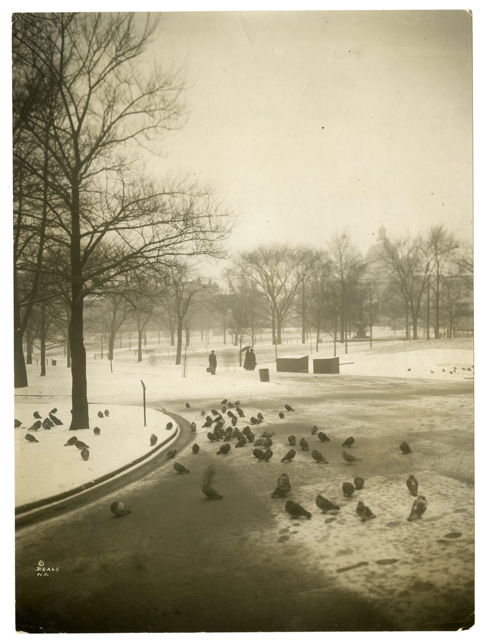 Ongewoon koud in de Common, Boston, VS, ca. 1902-10 door Jessie Tarbox Beals