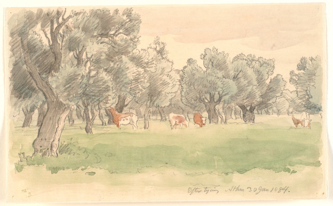 Grieks landschap met olijfbomen en grazend roodbonte vee door Joakim Frederik Skovgaard