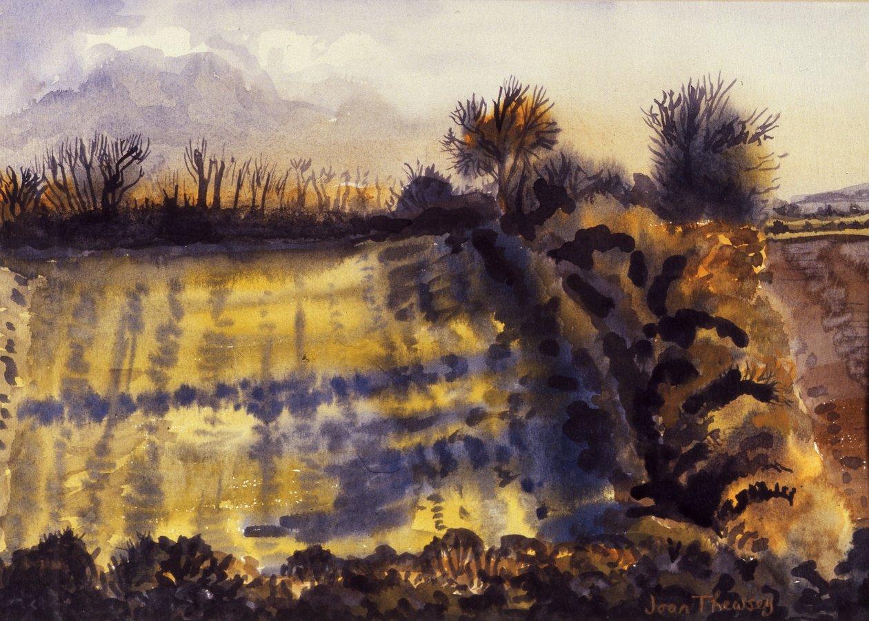 Veld met Lange Schaduwen, 1990 door Joan Thewsey