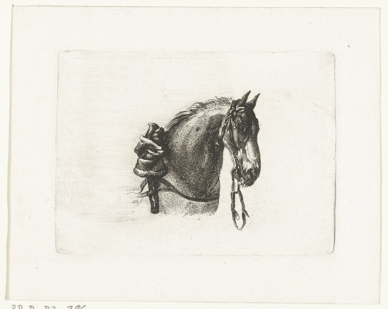 Paardenhoofd naar rechts door Joannes Bemme