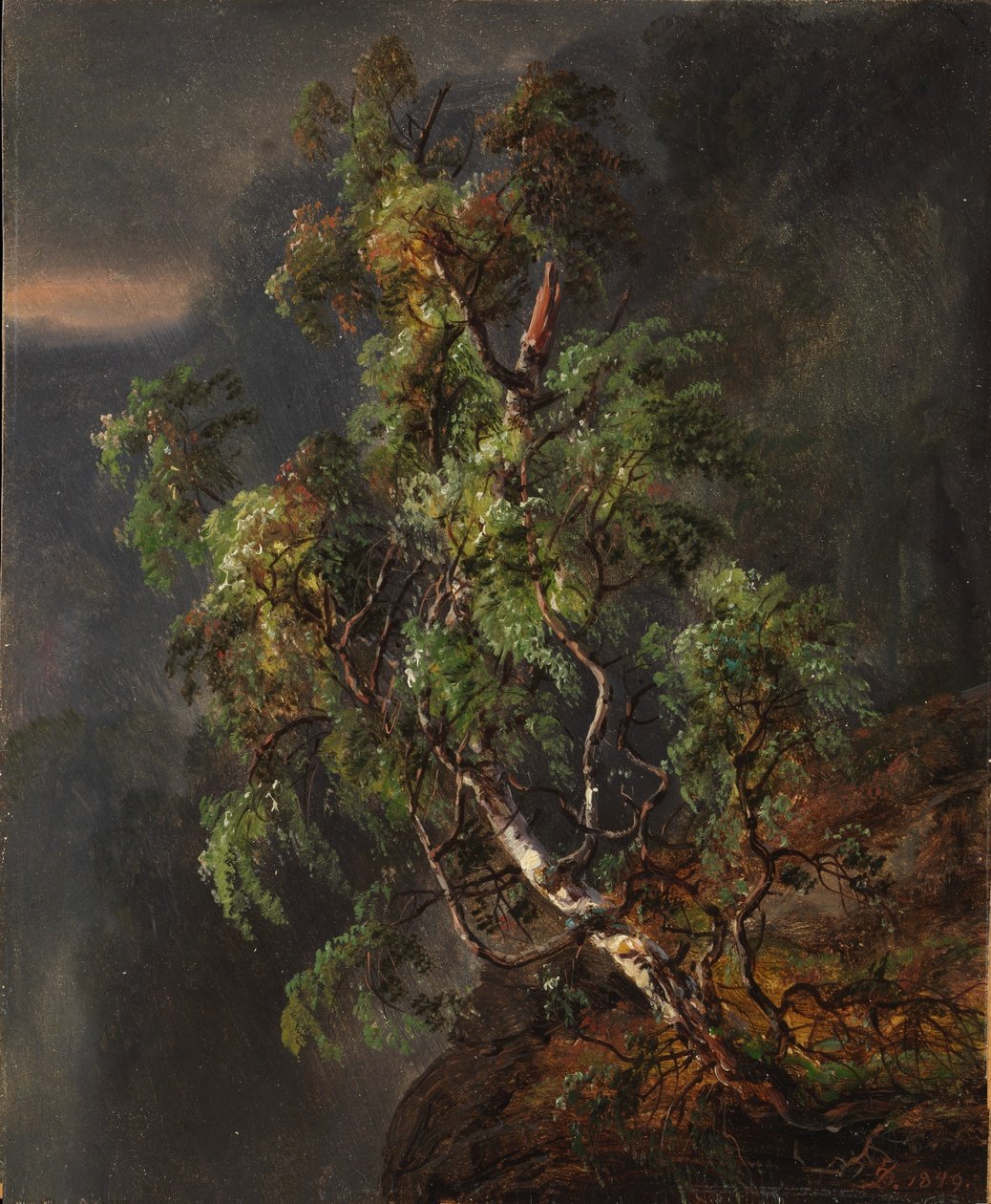 Berkenboom in een storm door Johan Christian Dahl