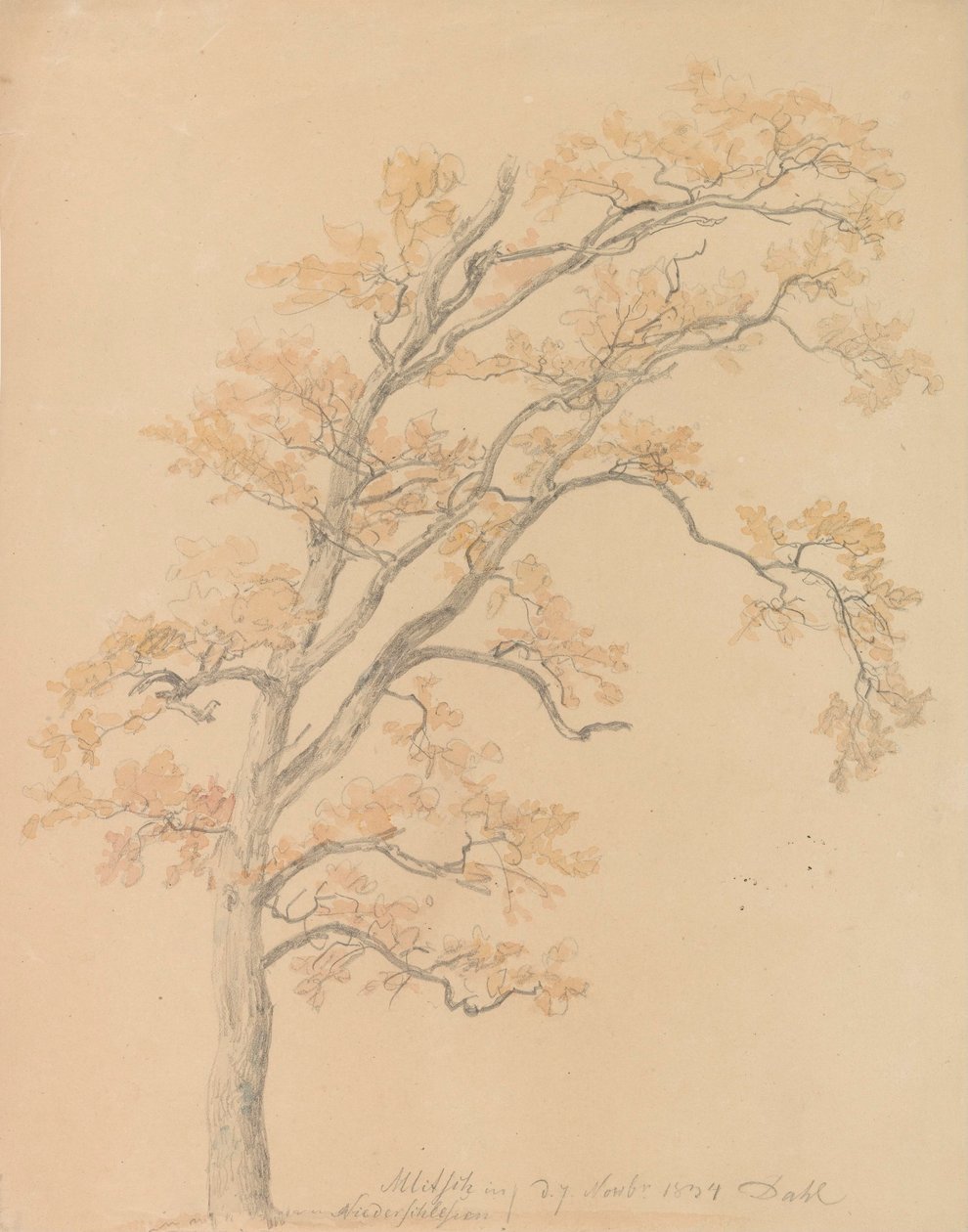 Eiken met herfstbladeren, Milicz door Johan Christian Dahl