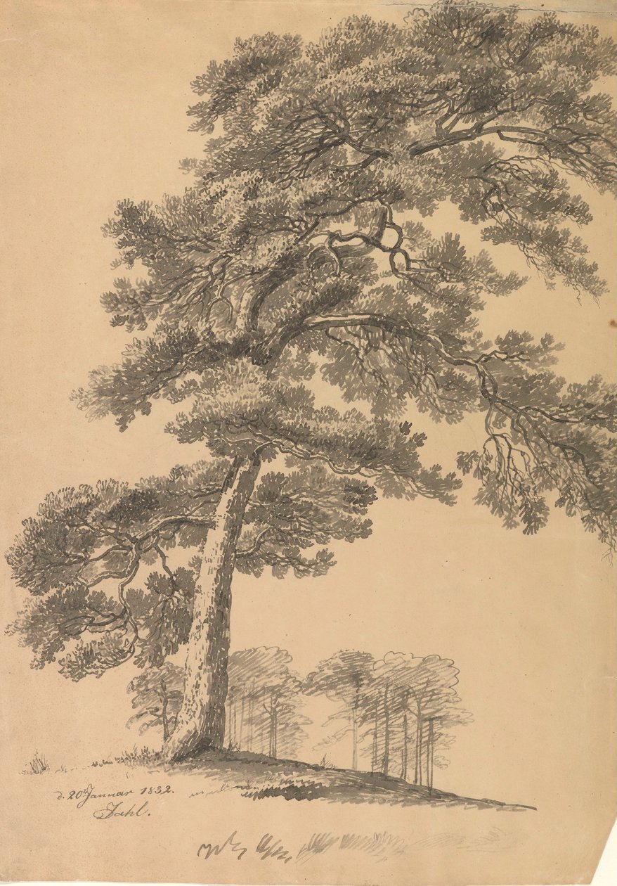 Den door Johan Christian Dahl