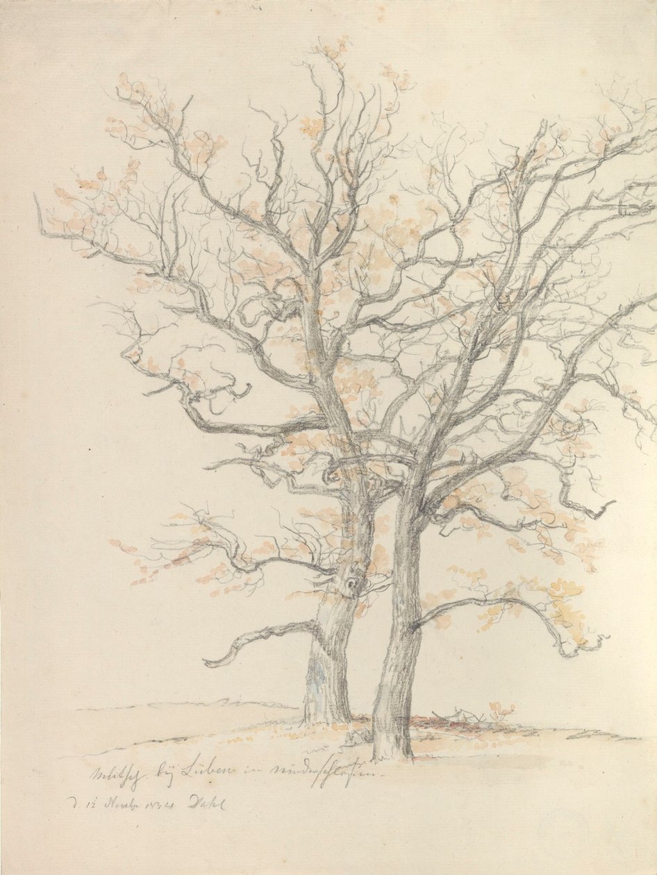 Twee eiken door Johan Christian Dahl