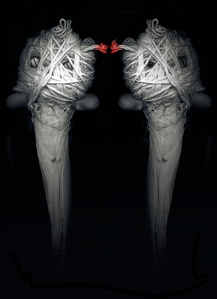 Broers, 2013 door Johan Lilja
