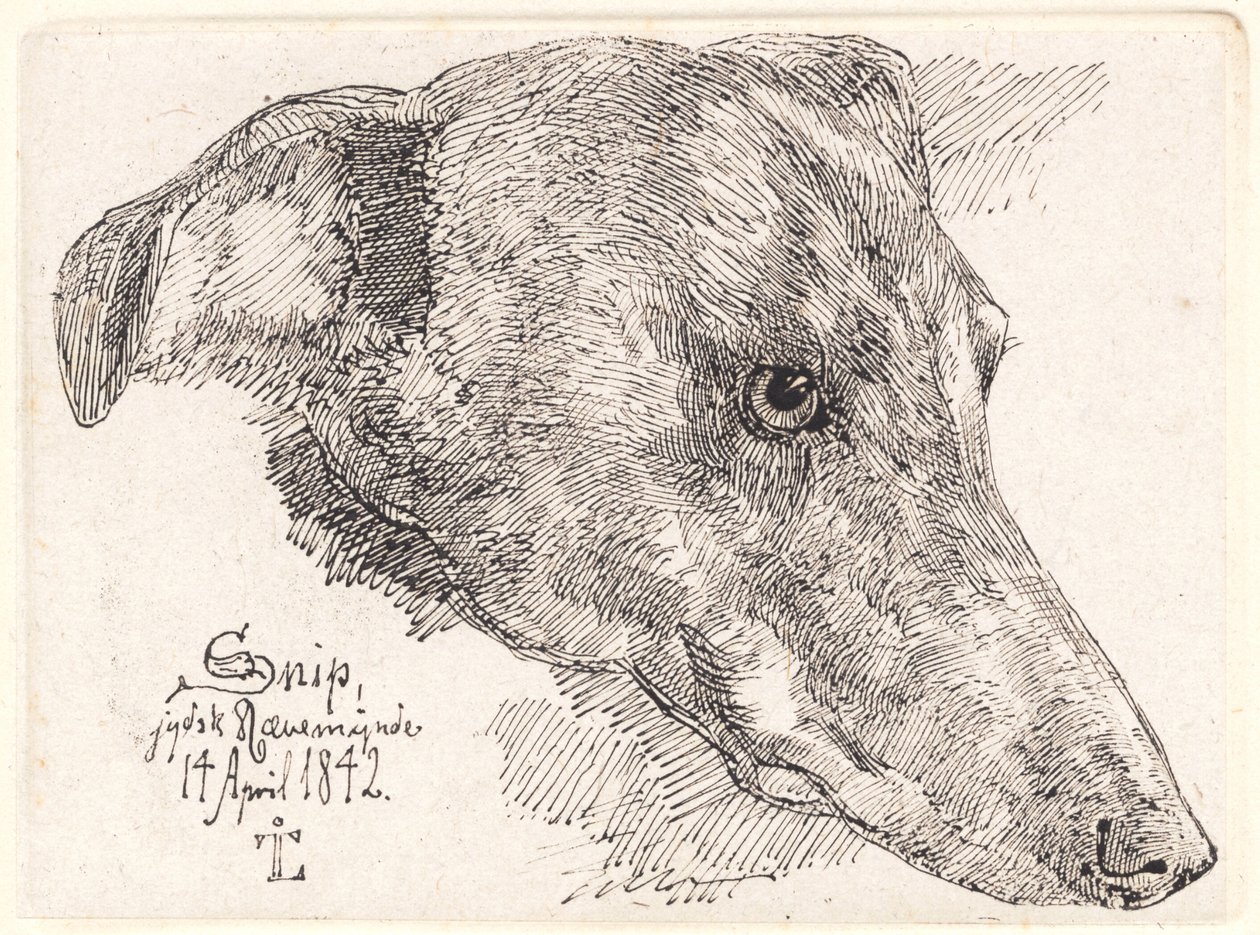 Deens: Hundehoved, Snip door Johan Lundbye