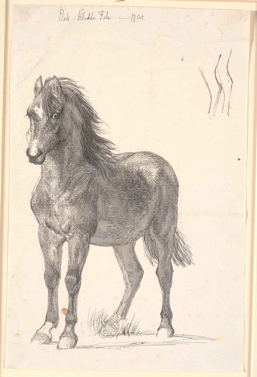 Een staand paard door Johan Thomas Lundbye