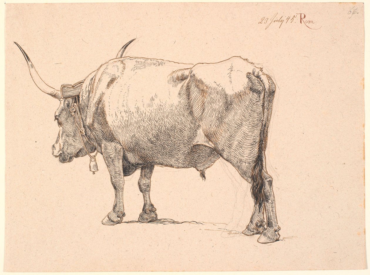 Romeinse stier met bel om de hals, schuin van achteren gezien door Johan Thomas Lundbye
