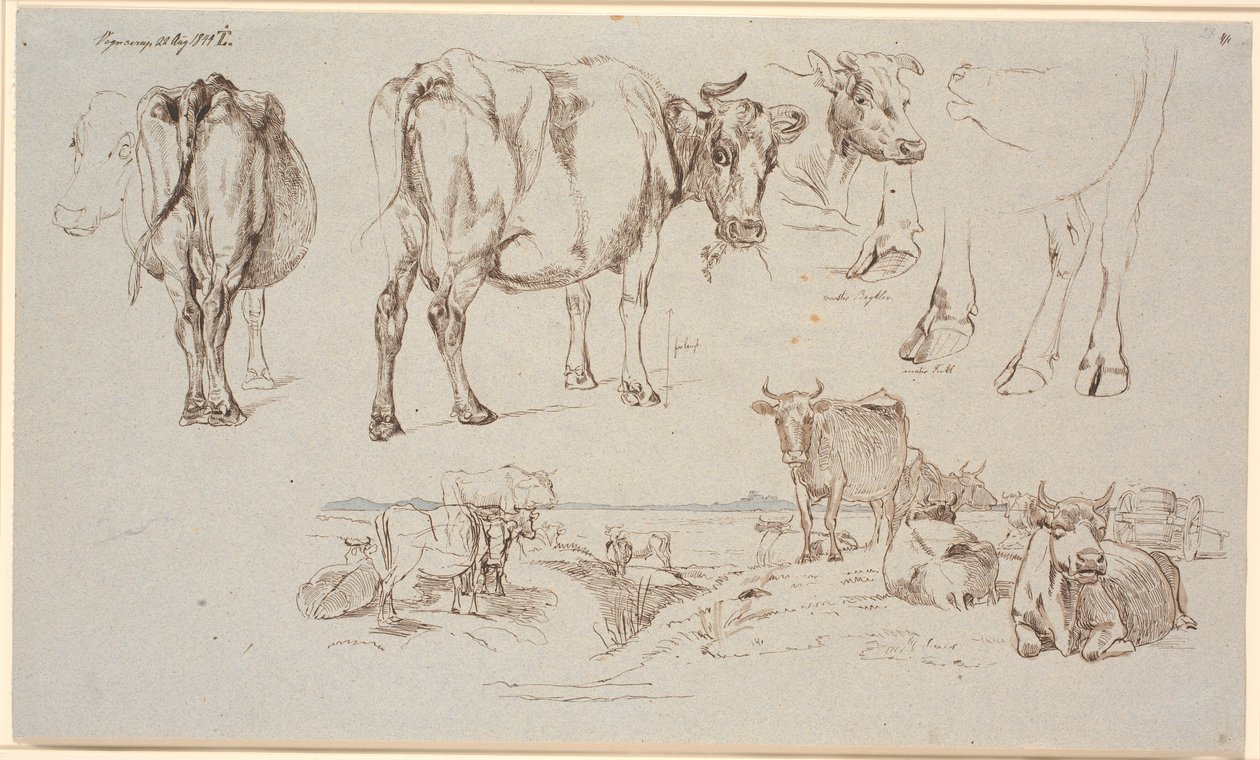 Studieblad van Vognserup. Bovenaan studies van koeien, onderaan landschap met staande en liggende koeien door Johan Thomas Lundbye