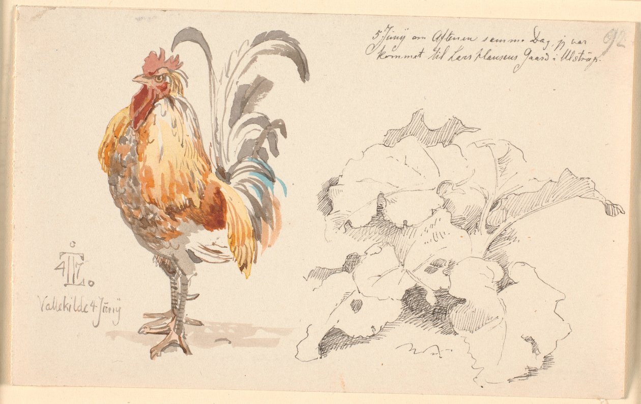 Studieblad met een haan en een zuring door Johan Thomas Lundbye