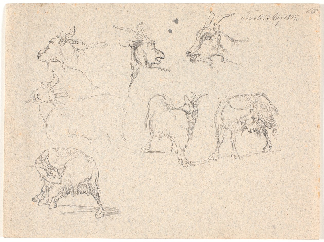 Studies van geiten door Johan Thomas Lundbye