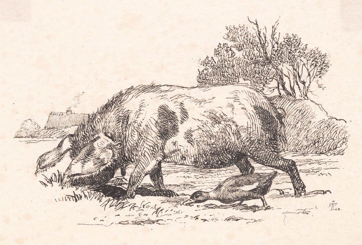 Het Varken en de Eend door Johan Thomas Lundbye