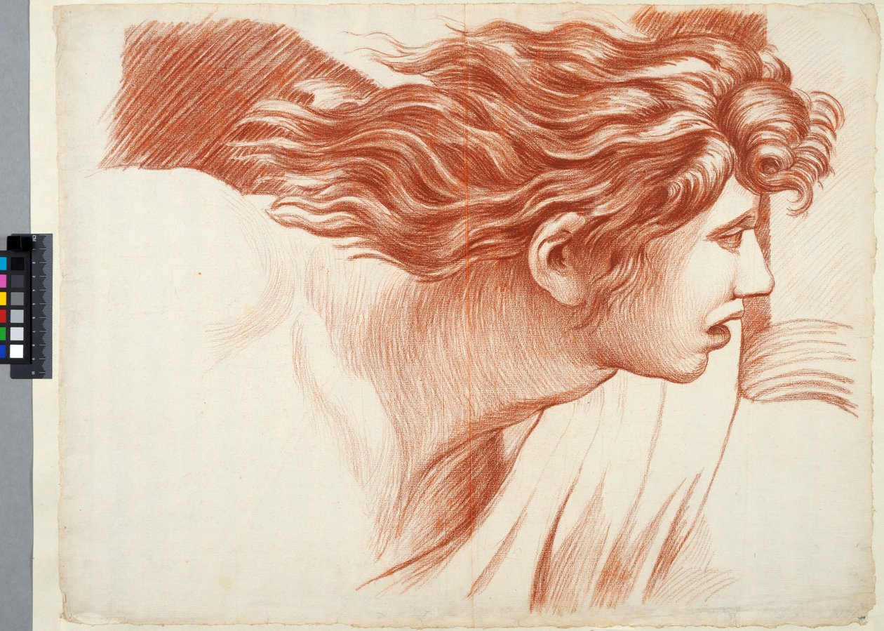 Academietekening. Detail uit Rafaëls "De verdrijving van Heliodorus uit de tempel" in het Vaticaan, een hoofd door Johan Tobias Sergel