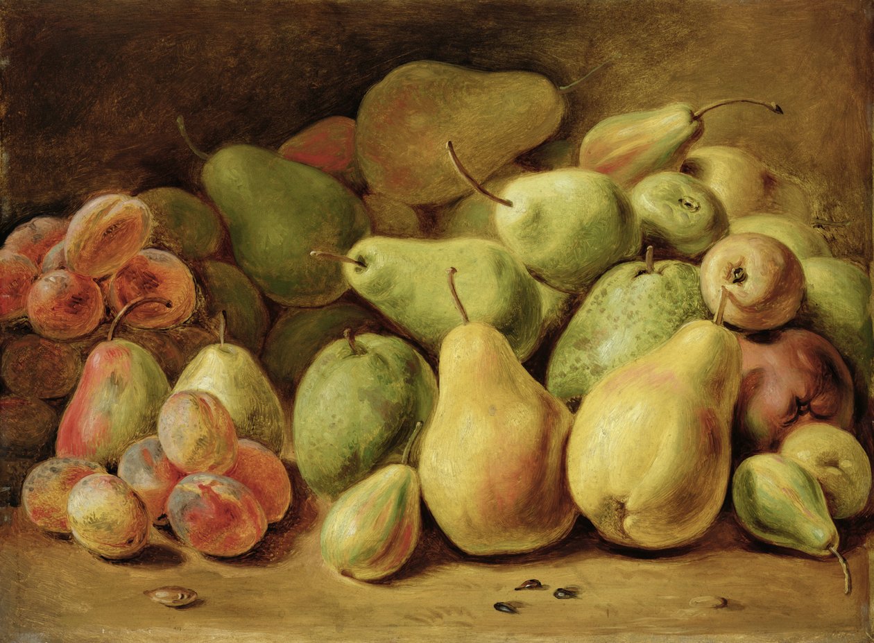 Fruit Stilleven door Johann Friedrich August Tischbein